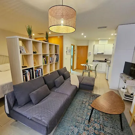 Apartment Big Terrace In Private Loft On San Francisco Street Alicante