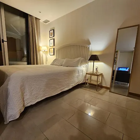 Big Terrace In Private Loft On San Francisco Street Alicante